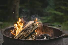Kayu dapat diserang oleh hama dan penyakit dan dapat terbakar terutama dalam keadaan kering. Kayu Bakar Jenis Pemanenan Nilai Kalor Dan Pemanfaatan