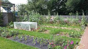 Newer post older post home. Neues Paradies Gefunden Ein Neuer Garten Fur Die Sendung Querbeet Unternehmen Br De