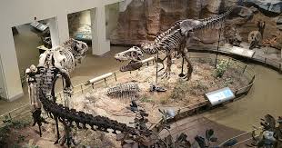 We did not find results for: Top 8 Destinations In North America For Dinosaur Lovers This West Coast Mommy