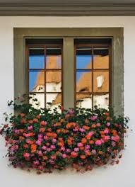 Embrace springtime with the 20 best flowers for window boxes. 28 Window Boxes Ideas Window Boxes Window Box Window Box Flowers
