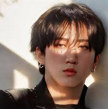 Lee Know's Hair Color and Style in Stray Kids