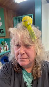 Mario understands the mission 😆, Grooming me in the grooming shop 🙄,  💛💛💛, Note to self : put makeup