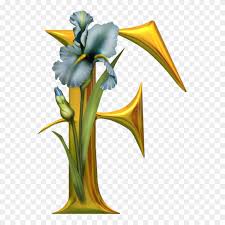 Grotesque, hideous, homely… find the right word. Yuliya On Pinterest Beautiful Alphabets Only F Clipart Full Size Clipart 837151 Pinclipart