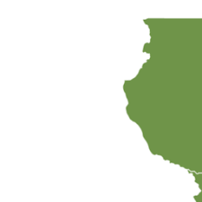 Image result for Eriocaulon transvaalicum