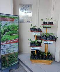 We did not find results for: Valenzuelacity On Twitter Make Your Weekends Productive Get Free Seedlings At The City Hall Lobby And Plant Them In Your Home Garden You May Pick Up One Or Two Seedlings From 8am