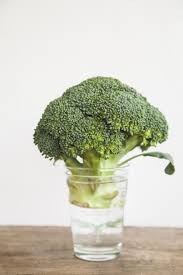 Le Secret Pour Que Vos Aliments Restent Frais Plus Longtemps Vous Ferez Des Economies A Coup Sur Cuis Fruits Et Legumes Frais Brocolis Conservation Legumes