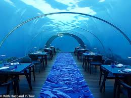 Online shopping for clothing, shoes & jewelry from a great selection of backpacks, travel accessories, laptop bags, gym bags, luggage, umbrellas & more at everyday low prices. 5 8 Restaurant Review An Underwater Restaurant In The Maldives
