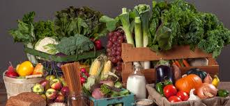 10.08.2021 · most mothers want to breastfeed but stop early due to a lack of ongoing support. Food Packages Texas Wic