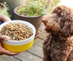 What is the best puppy food for pitbulls? The 8 Best Dog Food For Pitbulls Of 2021
