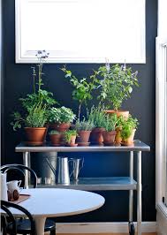 It involves poring small holes (according to the size of the clay pot) on plywood and placing clay pots in it. How To Plant A Mini Herb Garden