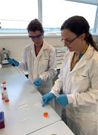 In some circumstances lateral flow tests can also be used. Fast And Accurate Covid 19 Testing Using Lateral Flow Assays