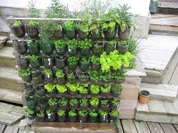 There was a great variety. Let S Get Vertical Gardening In A Small Space
