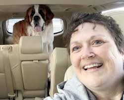 Feeler appointed to BES principal