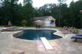 Metro Atlanta Home With A Modern Backyard Swimming Pool Design Brown S Pools Spas Swimming Pool Des Inground Pool Landscaping Swimming Pool Renovation Pool