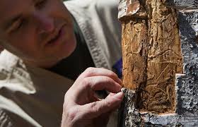 From mountain forests to city parks, trees are stressed and dying