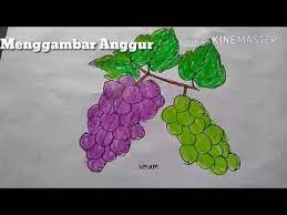 82 gambar sketsa anggur terlengkap. 4700 Koleksi Contoh Kolase Buah Anggur Terbaru Kumpulan Gambar Kolase