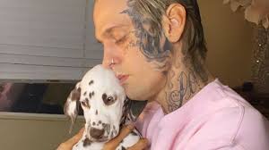 Aaron carter cierra un año tremendamente polémico para él en el que ha sido protagonista por indeseables el polémico 2020 de aaron carter: Aaron Carter Wieder Getrennt Sein Neuer Hund Soll Trosten Promiflash De