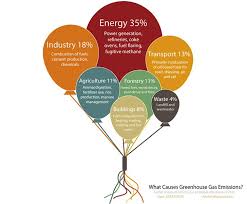 Pin On Sustainability