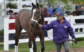How to bet the 144th Preakness: Liam Durbin handicaps the second leg of the  Triple Crown