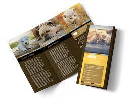 Pictures of dogs and cats who need a home. Animal Shelter Pet Adoption Brochure Template