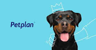 Like medical coverage for people, pet. Petplan Pet Insurance