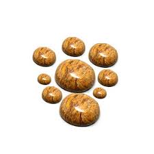 Abragems Finest Quality Gems Shop In Bhubaneswar Odisha Gem Shop Gems Fine Quality
