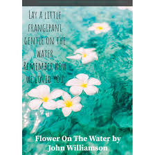 Flower On The Water By John Williamson In 2020 The Last Song John Flowers