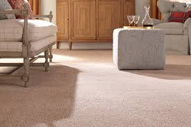 Everyone who i dealt with was very professional and did great work. Absolutely Floored About Carpet