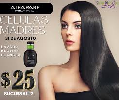 𝒮𝒶𝓈𝒽𝒶 𝑀𝑜𝓇𝑒𝓃𝑜 💇🏼‍♂️💇🏼