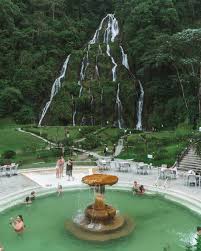 Coffee culture Pereira