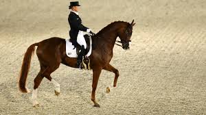 Jul 02, 2021 · dressage veteran isabell werth of germany is the most successful rider in olympic history with 10 medals — six gold and four silver — at five olympics. Reiten Bei Olympia 22 000 Euro Pro Flugticket Pro Pferd Sport Sz De