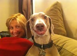 Whether you're an animal lover or not, you'll find these funny animal pictures hilarious, and the fact that these photos are helping to conserve wildlife across the globe should make your smile even bigger. 201 Smiling Animals That Will Instantly Make You Smile Bored Panda