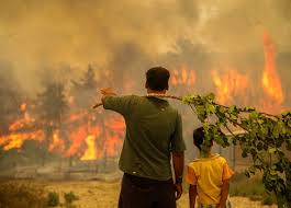 Marmaris yangınının ardından bodrum'da da orman yangını başladı. Dcfzztbigar9am