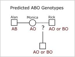 the hh blood group blood groups and red cell antigens