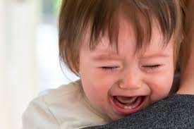 Cest termasuk anak yang jarang sakit moms, apalagi waktu full asi dan jujur saya tidak pernah ke dokter karena demam. 3 Hal Yang Tak Boleh Dilakukan Saat Bayi Demam Halaman All Kompas Com