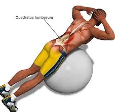 Best Lower Back Exercise Exercise Lat Workout Lower Back Exercises
