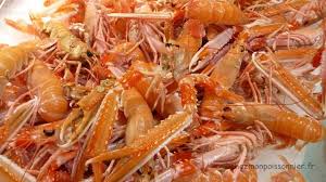 Préparez les queues de langouste. Comment Choisir Les Langoustines Chez Mon Poissonnier