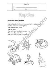 Bill Nye Skin Worksheet Reptile Worksheet Franklin In 2020 Kindergarten Worksheets Kindergarten Worksheets Printable Kindergarten Math Worksheets