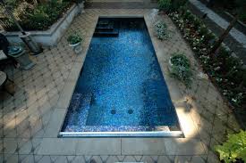 Beautiful All Glass Tile Pool With Lush Garden Landscape In Downtown Charleston South Carolina Residential Pool Pool Tile Charleston Gardens