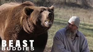 Nearly 20 years after vancouver lost its nba franchise, a grizzlies superfan is hoping to start a movement to bring one back. I Live With Two Grizzly Bears Beast Buddies Youtube