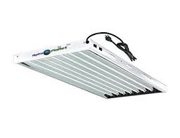 Hydroplanet T5 4ft 8lamp Fluorescent Ho Bulbs Included For Indoor Horticulture Gardening T5 Grow Lights Fix Best Led Grow Lights Grow Light Fixture Grow Lights