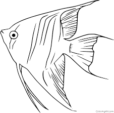Download Zebra Angelfish Coloring Page Coloringall