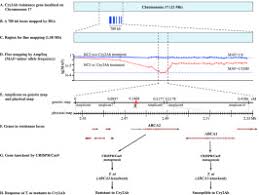 Home/residence is this an emergency?: Mutation Of Abc Transporter Abca2 Confers Resistance To Bt Toxin Cry2ab In Trichoplusia Ni Sciencedirect