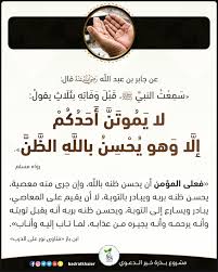 pin by fatima a on hadith islam facts peace be upon him ahadith
