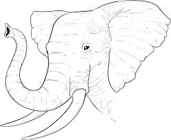 Free Printable Elephant Coloring Pages For Kids Elephant Drawing Elephant Coloring Page Elephant Colouring Pictures