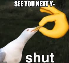 Shut Bird Stupid Memes Response Memes Stupid Funny Memes