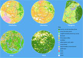Drawing a travel time radius. Land Use In A 5km And 10km Radius Around Research Villages In The Iita Download Scientific Diagram