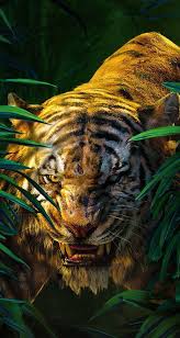 Peluche ty tigre ojos grandes sin la etiqueta 16 cm. Animals Wallpaper Iphone Fotos De Animales Salvajes Animales De La Naturaleza Fondo De Pantalla Aguila