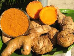 Image result for Curcuma longa