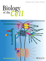 We did not find results for: The Role Of Apical Cell Cell Junctions And Associated Cytoskeleton In Mechanotransduction Sluysmans 2017 Biology Of The Cell Wiley Online Library